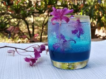 Hawaiian Nonalcoholic Drink Recipes
