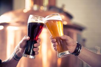 Differences Between Ale, Lager and Beer: Know Your Brew