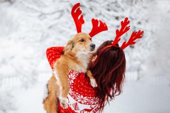 30 Christmas Captions for Your Dog That Are Paw-sitively Adorable