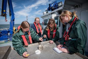10 Oceanography Jobs & Careers to Dive Into 
