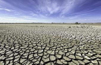 What Are the Main Natural and Human Causes of Drought?