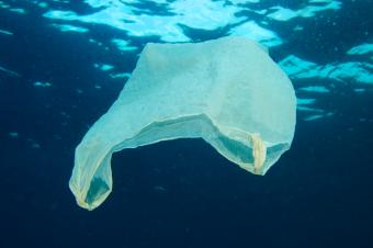 Plastic Bags in the Ocean