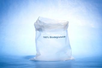 Types of Biodegradable Plastic