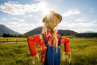 How to Make a Scarecrow in Four Simple Steps