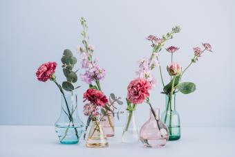 16 Vase Shapes & How to Style Them Like a Pro