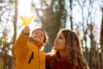 40 Facts About Fall for Kids That Are Beyond Be-Leaf 