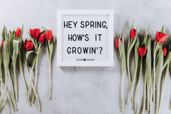 40+ Spring Letter Board Quotes to Refresh and Renew